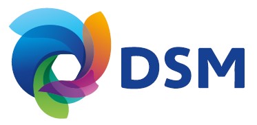 DSM jpeg.jpg logo